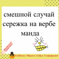 смешной случай - сережка на вербе | манда